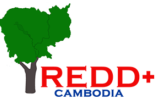 Cambodia REDD+